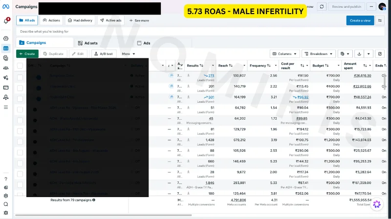 Meta Ads Result 3